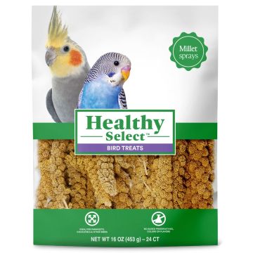 Healthy Select Millet Spray for Birds, 16 oz., Pack of 24